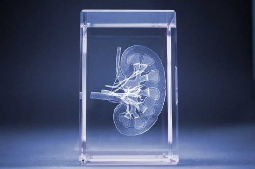 Glasquader Kundenpräsente Vorschaubild